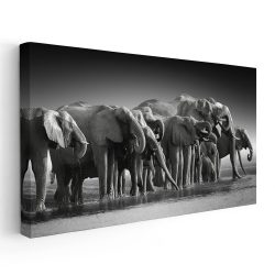 Tablou grup elefanti alb negru 1805 - Afis Poster Tablou grup elefanti alb negru pentru living casa birou bucatarie livrare in 24 ore la cel mai bun pret.