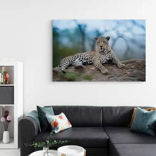 Tablou leopard odihnindu se 3250 living