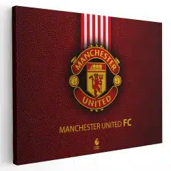 Tablou logo echipa Manchester United FC fotbal 3314