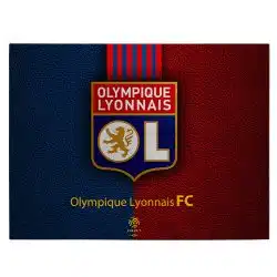 Tablou logo echipa Olympique Lyonnais FC fotbal 3317 front