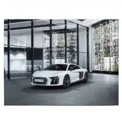 Tablou masina Audi R8 V10 Plus Selection 4604 front