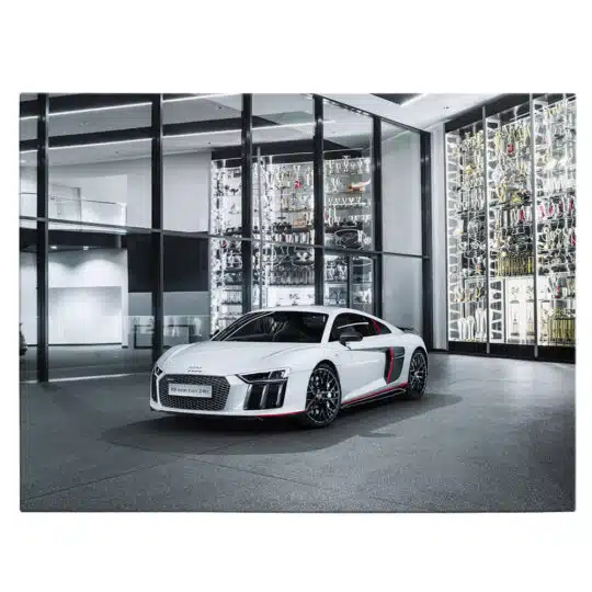 Tablou masina Audi R8 V10 Plus Selection 4604 front