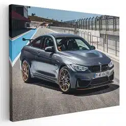 Tablou masina BMW M4 GTS 4596