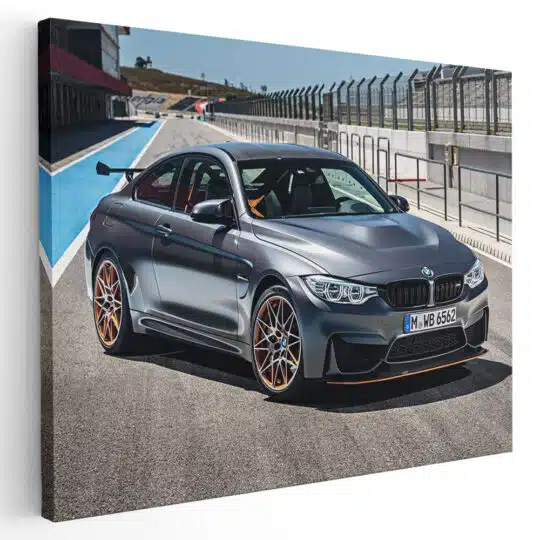 Tablou masina BMW M4 GTS 4596