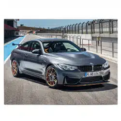 Tablou masina BMW M4 GTS 4596 front