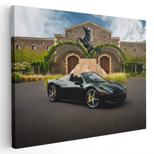 Tablou masina Ferrari 458 Spider 3192