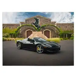 Tablou masina Ferrari 458 Spider 3192 front