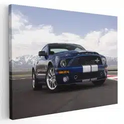 Tablou masina Ford Mustang Shelby GT500 4594