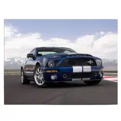 Tablou masina Ford Mustang Shelby GT500 4594 front