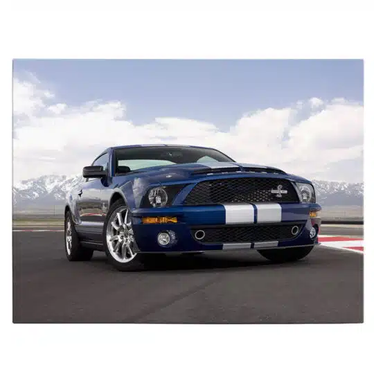 Tablou masina Ford Mustang Shelby GT500 4594 front