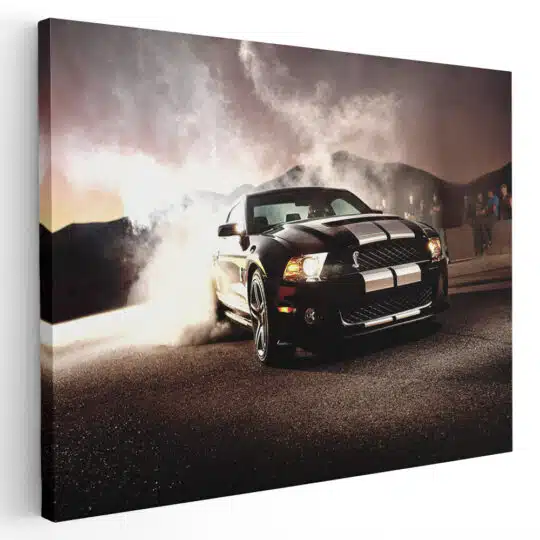 Tablou masina Ford Shelby GT500 4575