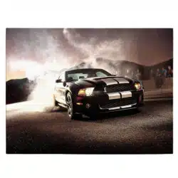 Tablou masina Ford Shelby GT500 4575 front