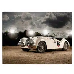 Tablou masina Jaguar XK120 4632 front