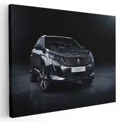 Tablou masina Peugeot 3008 4574