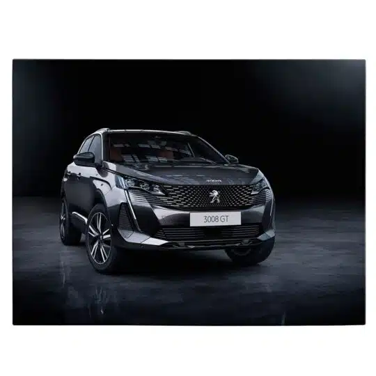 Tablou masina Peugeot 3008 4574 front