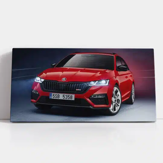 Tablou masina Skoda Octavia RS Combi 4610 detalii tablou