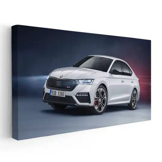 Tablou masina Skoda Octavia RS iV 3183