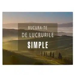 Tablou mesaj motivational despre simplitate verde 1481 front - Afis Poster tablou afis mesaj motivational bucura-te de lucrurile simple pentru living casa birou bucatarie livrare in 24 ore la cel mai bun pret.