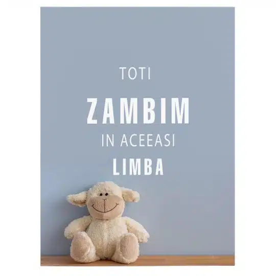 Tablou mesaj motivational despre zambet albastru 1498 front - Afis Poster Tablou toti zambim in aceeasi limba pentru living casa birou bucatarie livrare in 24 ore la cel mai bun pret.