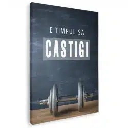 Tablou mesaj motivational pentru a castiga gri 1495 - Afis Poster Tablou motivational e timpul sa castigi pentru living casa birou bucatarie livrare in 24 ore la cel mai bun pret.