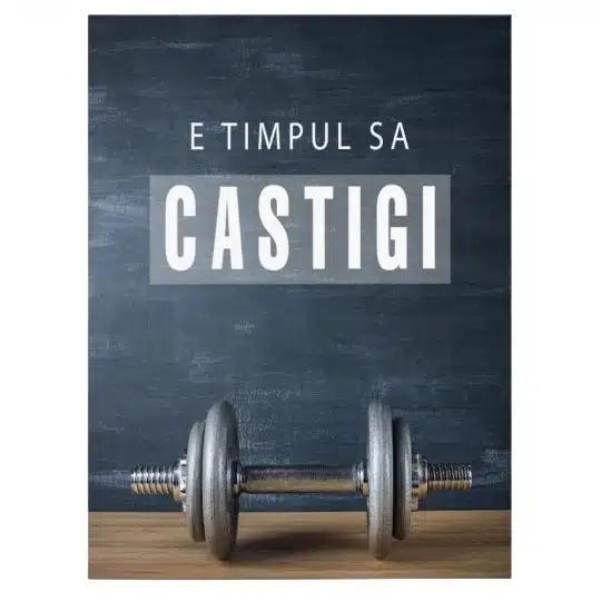 Tablou mesaj motivational pentru a castiga gri 1495 front - Afis Poster Tablou motivational e timpul sa castigi pentru living casa birou bucatarie livrare in 24 ore la cel mai bun pret.