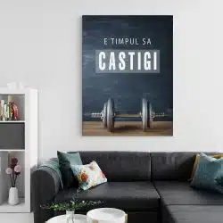 Tablou mesaj motivational pentru a castiga gri 1495 living 2 - Afis Poster Tablou motivational e timpul sa castigi pentru living casa birou bucatarie livrare in 24 ore la cel mai bun pret.