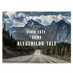 Tablou mesaj motivational viata albastru 1478 front - Afis Poster tablou mesaj motivational despre viata pentru living casa birou bucatarie livrare in 24 ore la cel mai bun pret.