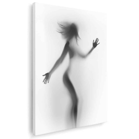 Tablou nud femeie silueta difuza alb negru 1210 - Afis Poster nud femeie siluetÄƒ difuzÄƒ alb negru pentru living casa birou bucatarie livrare in 24 ore la cel mai bun pret.
