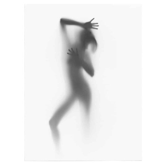Tablou nud femeie silueta difuza alb negru 1340 front - Afis Poster tablou nud femeie siluetÄƒ difuzÄƒ pentru living casa birou bucatarie livrare in 24 ore la cel mai bun pret.