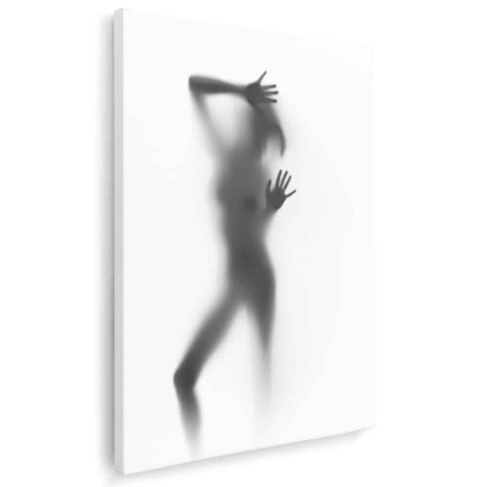 Tablou nud femeie silueta difuza dupa perdea alb negru 1211 - Afis Poster nud femeie siluetÄƒ difuzÄƒ alb negru pentru living casa birou bucatarie livrare in 24 ore la cel mai bun pret.