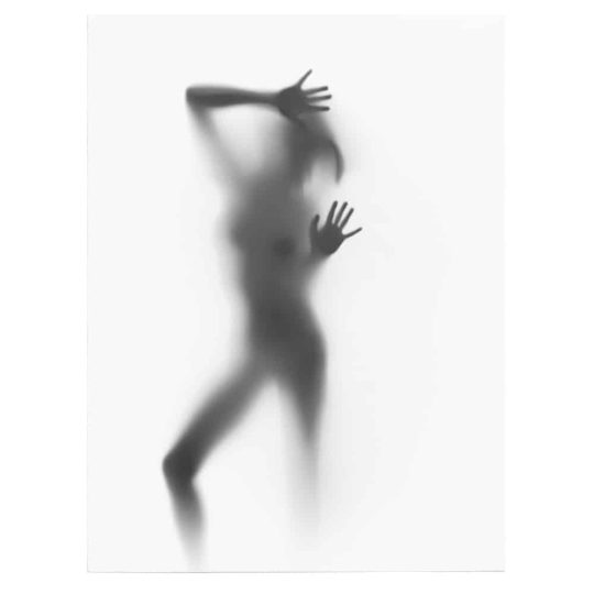 Tablou nud femeie silueta difuza dupa perdea alb negru 1211 front - Afis Poster nud femeie siluetÄƒ difuzÄƒ alb negru pentru living casa birou bucatarie livrare in 24 ore la cel mai bun pret.