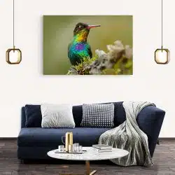 Tablou pasare colibri in natura verde galben 1899 living modern 2 - Afis Poster Tablou pasare colibri in natura verde galben pentru living casa birou bucatarie livrare in 24 ore la cel mai bun pret.