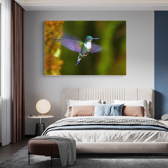 Tablou pasare colibri in zbor mov verde 1590 dormitor - Afis Poster tablou pasare colibri in zbor mov pentru living casa birou bucatarie livrare in 24 ore la cel mai bun pret.