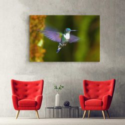Tablou pasare colibri in zbor mov verde 1590 hol - Afis Poster tablou pasare colibri in zbor mov pentru living casa birou bucatarie livrare in 24 ore la cel mai bun pret.