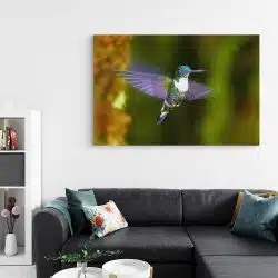 Tablou pasare colibri in zbor mov verde 1590 living - Afis Poster tablou pasare colibri in zbor mov pentru living casa birou bucatarie livrare in 24 ore la cel mai bun pret.