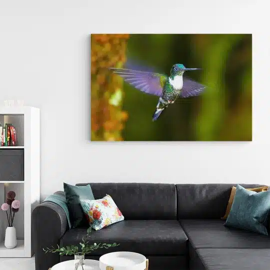 Tablou pasare colibri in zbor mov verde 1590 living - Afis Poster tablou pasare colibri in zbor mov pentru living casa birou bucatarie livrare in 24 ore la cel mai bun pret.