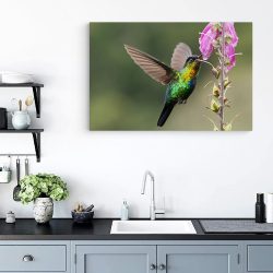 Tablou pasare colibri in zbor roz verde 1917 bucatarie - Afis Poster Tablou pasare colibri in zbor roz verde pentru living casa birou bucatarie livrare in 24 ore la cel mai bun pret.