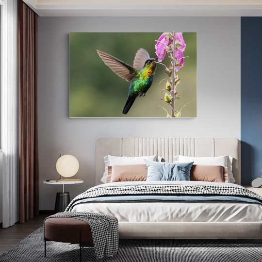 Tablou pasare colibri in zbor roz verde 1917 dormitor - Afis Poster Tablou pasare colibri in zbor roz verde pentru living casa birou bucatarie livrare in 24 ore la cel mai bun pret.