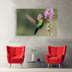 Tablou pasare colibri in zbor roz verde 1917 hol - Afis Poster Tablou pasare colibri in zbor roz verde pentru living casa birou bucatarie livrare in 24 ore la cel mai bun pret.