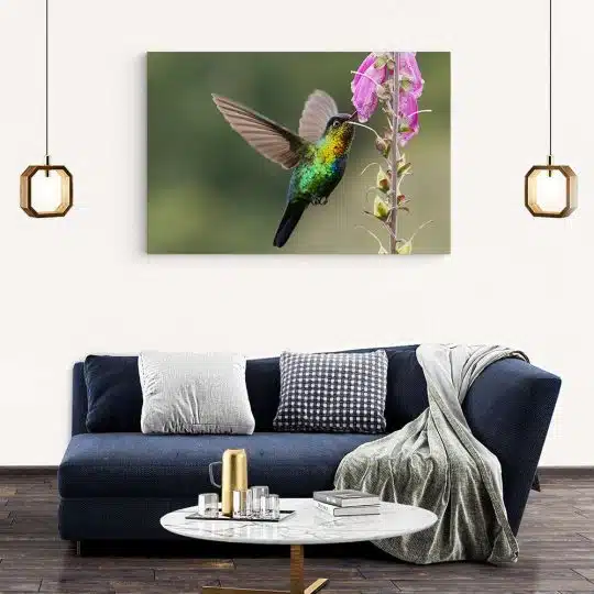 Tablou pasare colibri in zbor roz verde 1917 living modern 2 - Afis Poster Tablou pasare colibri in zbor roz verde pentru living casa birou bucatarie livrare in 24 ore la cel mai bun pret.