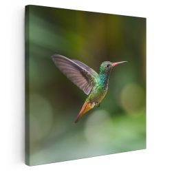 Tablou pasare colibri in zbor verde 2001 - Afis Poster Tablou pasare colibri in zbor verde pentru living casa birou bucatarie livrare in 24 ore la cel mai bun pret.