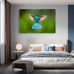 Tablou pasare colibri in zbor verde albastru 1919 dormitor - Afis Poster Tablou pasare colibri in zbor verde albastru pentru living casa birou bucatarie livrare in 24 ore la cel mai bun pret.
