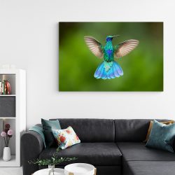Tablou pasare colibri in zbor verde albastru 1919 living - Afis Poster Tablou pasare colibri in zbor verde albastru pentru living casa birou bucatarie livrare in 24 ore la cel mai bun pret.