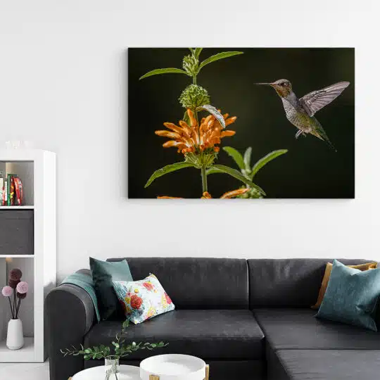 Tablou pasare colibri langa floare 5205 living