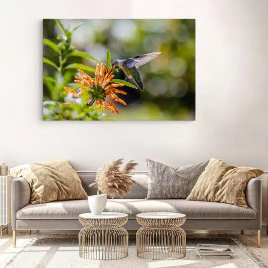 Tablou pasare colibri pe floare 5204 living modern 3