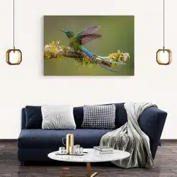 Tablou pasare colibri pe ramura verde albastru 1723 living modern 2 - Afis Poster Tablou pasare colibri pe ramura verde albastru pentru living casa birou bucatarie livrare in 24 ore la cel mai bun pret.