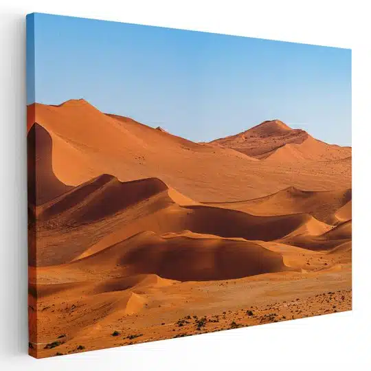 Tablou peisaj desert 3148