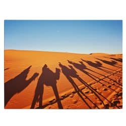 Tablou peisaj siluete caravana desert 3150 front