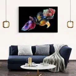 Tablou pesti luptatori siamezi pe fundal negru multicolor 1623 living modern 2 - Afis Poster pesti luptatori siamezi pe fundal negru multicolor pentru living casa birou bucatarie livrare in 24 ore la cel mai bun pret.