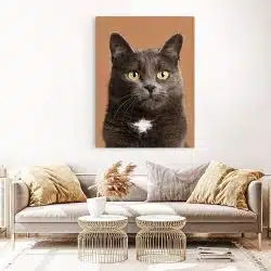 Tablou pisica British Shorthair maro 3084 living 1